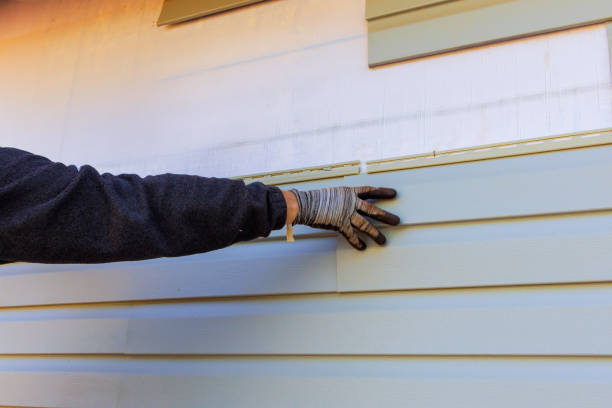 Affordable Siding Repair and Maintenance Services in Rowlett, TX